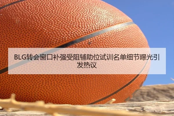 BLG转会窗口补强受阻辅助位试训名单细节曝光引发热议
